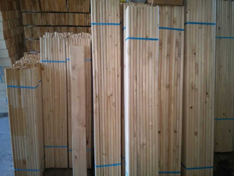 11050816 842132575849395 3079731607979980868 o e1445076590834