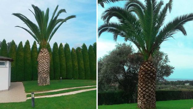 Κλασική Τραπεζαρία garden10