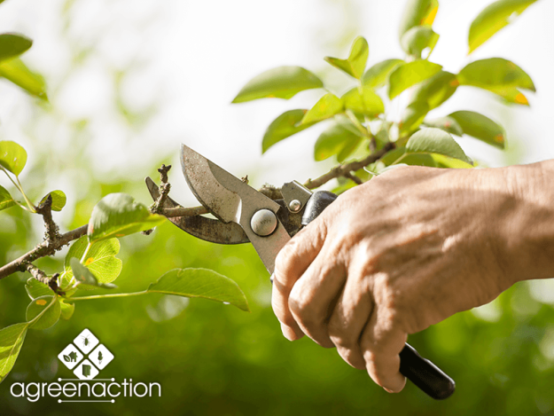 Κλασική Τραπεζαρία garden14