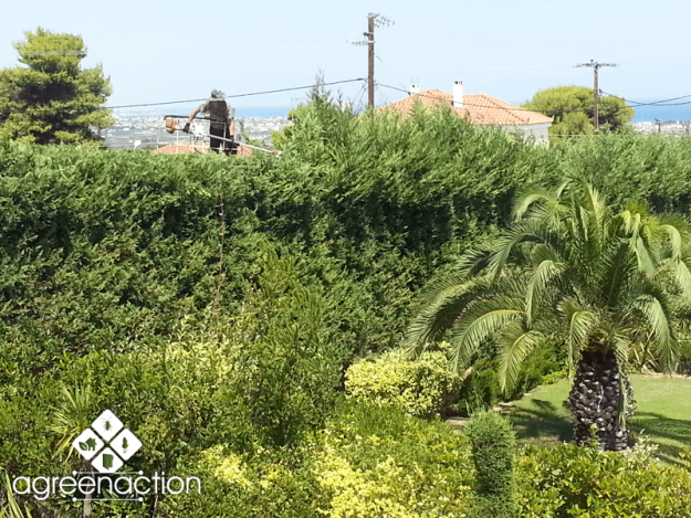 Κλασική Τραπεζαρία garden16