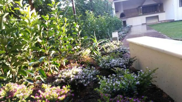 Κλασική Τραπεζαρία garden7