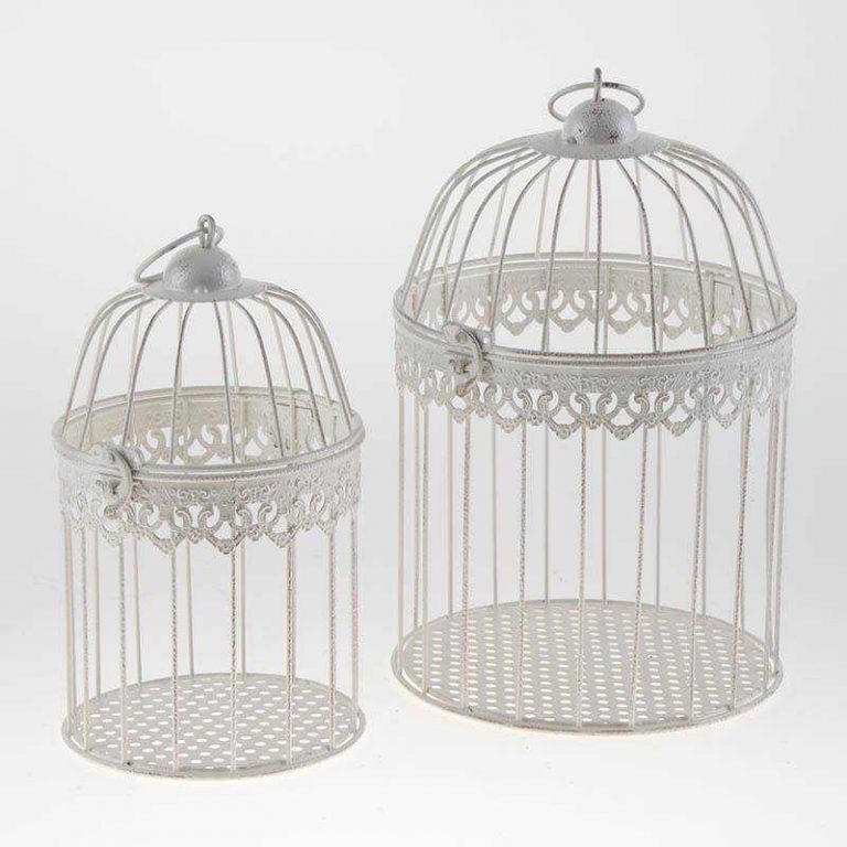 12476350 1052249198166033 1808991780 n