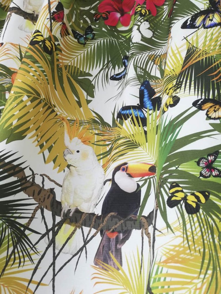 Urban Jungle: Δημιουργήστε μια Μικρή Ζούγκλα στο Σπίτι σας