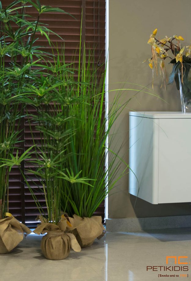 Κλασική Τραπεζαρία Urban Jungle: Δημιουργήστε μια Μικρή Ζούγκλα στο Σπίτι σας