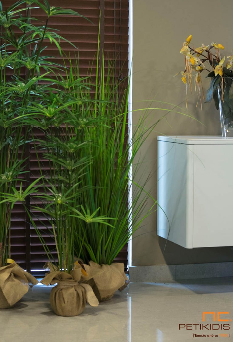 Urban Jungle: Δημιουργήστε μια Μικρή Ζούγκλα στο Σπίτι σας