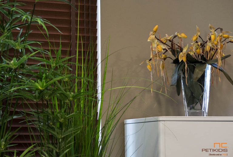 Urban Jungle: Δημιουργήστε μια Μικρή Ζούγκλα στο Σπίτι σας