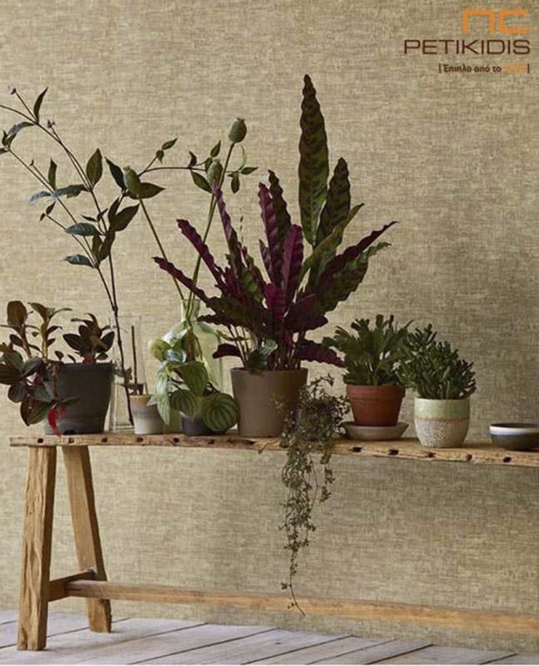 Urban Jungle: Δημιουργήστε μια Μικρή Ζούγκλα στο Σπίτι σας